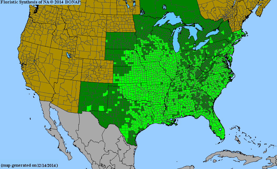 County distribution map of Chamaecrista fasciculata var. fasciculata - Sleepingplant